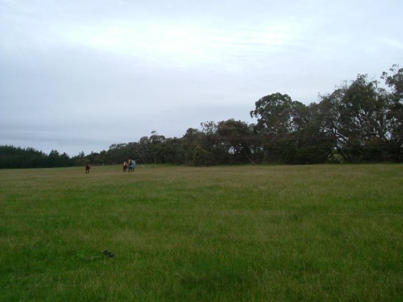 Lot 19,  Lanacoona Road, Mount Compass SA 5210