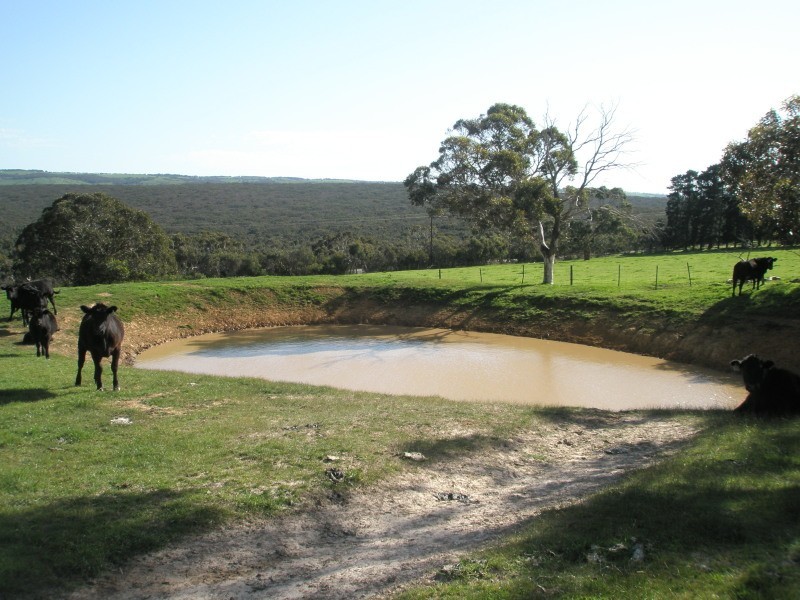 Bond Road, Ashbourne SA 5157