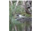 Lot 12 Private Road (Off Braeside Road), Finniss SA 5255