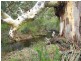 Lot 12 Private Road (Off Braeside Road), Finniss SA 5255