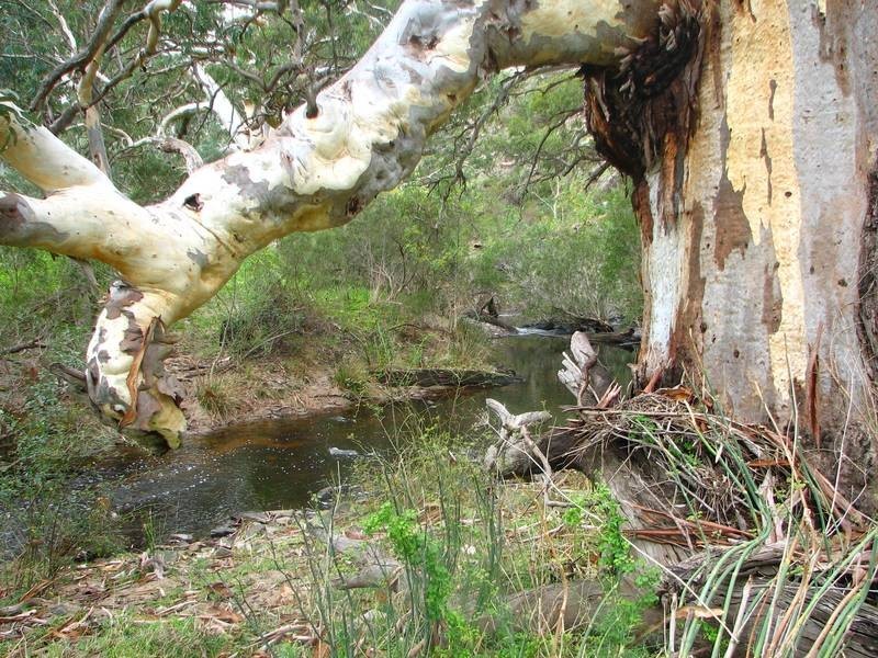 Lot 12 Private Road (Off Braeside Road), Finniss SA 5255