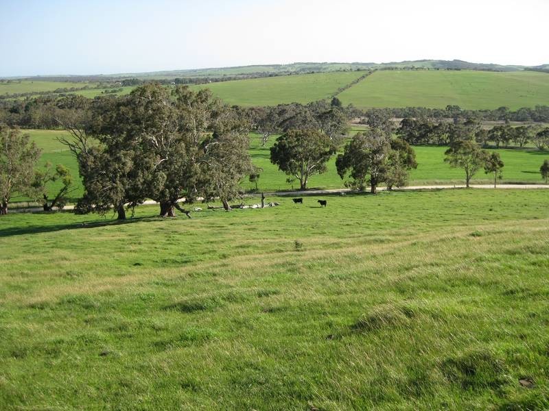 Lot 23 Lake View Road, Tooperang SA 5255