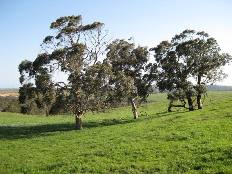 Lot 23 Lake View Road, Tooperang SA 5255