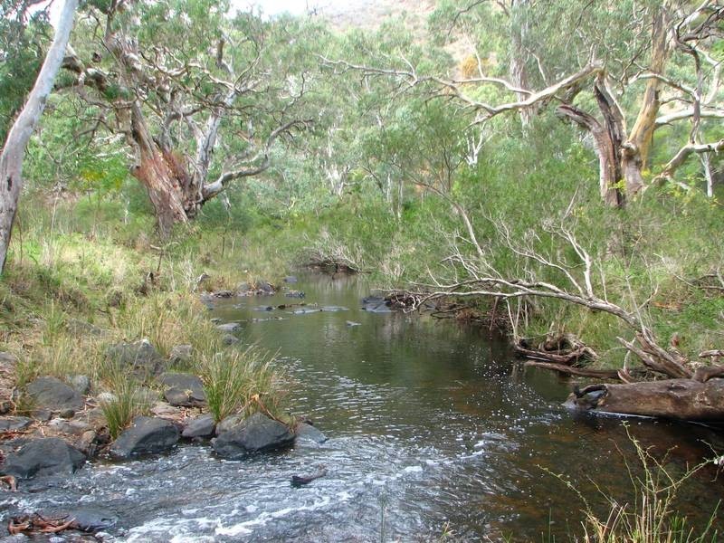 Lot 12 Private Road (Off Braeside Road), Ashbourne SA 5157