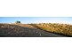 Lot 12 Private Road (Off Braeside Road), Ashbourne SA 5157