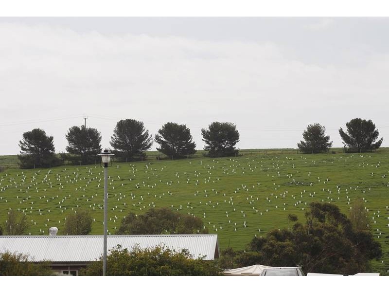 8 Tetragonia Walk, Aldinga SA 5173