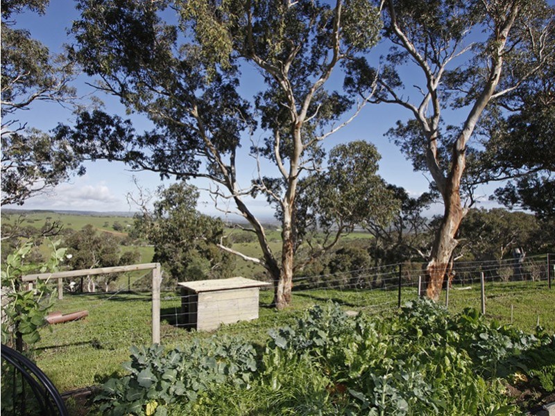Lot 8 Penney’s Hill Road, Mclaren Vale SA 5171