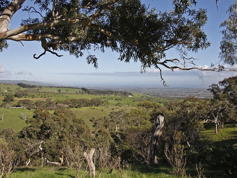 Lot 8 Penney’s Hill Road, Mclaren Vale SA 5171