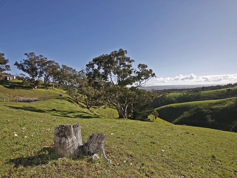 Lot 8 Penney’s Hill Road, Mclaren Vale SA 5171
