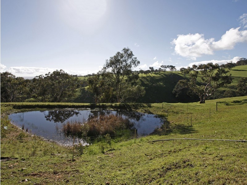 Lot 8 Penney’s Hill Road, Mclaren Vale SA 5171