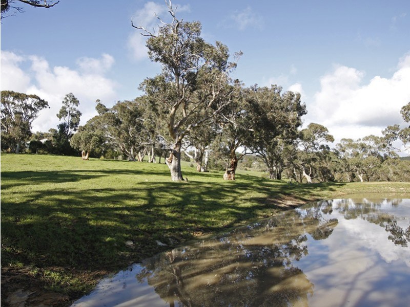 Lot 8 Penney’s Hill Road, Mclaren Vale SA 5171