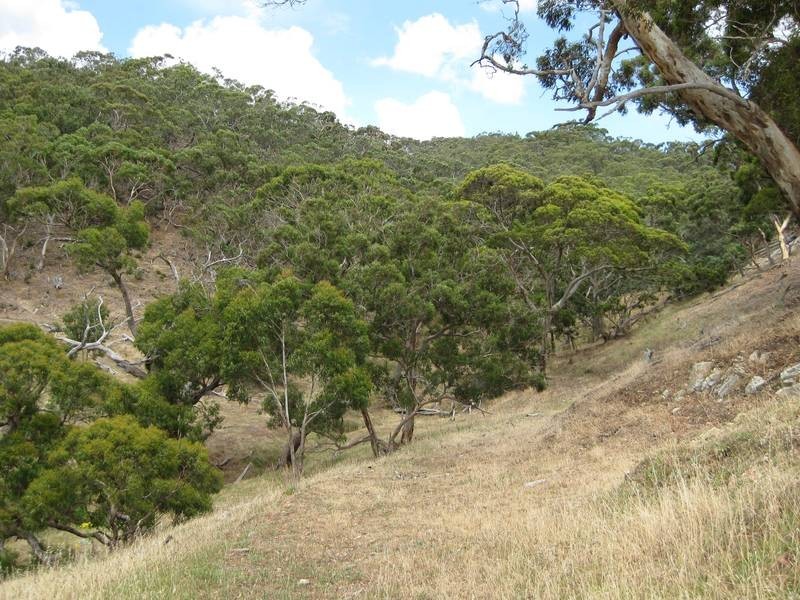 Lot 2,  Range Road, Willunga SA 5172