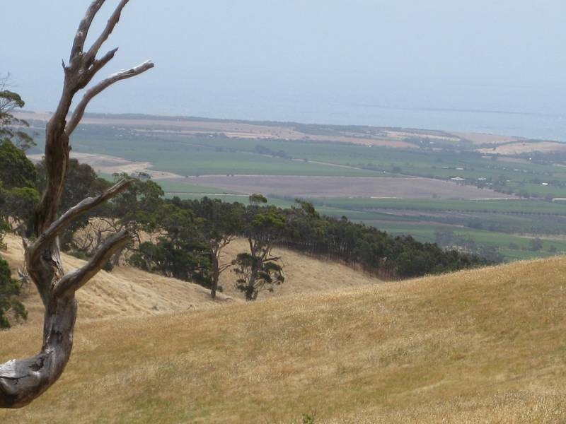 Lot 2,  Range Road, Willunga SA 5172