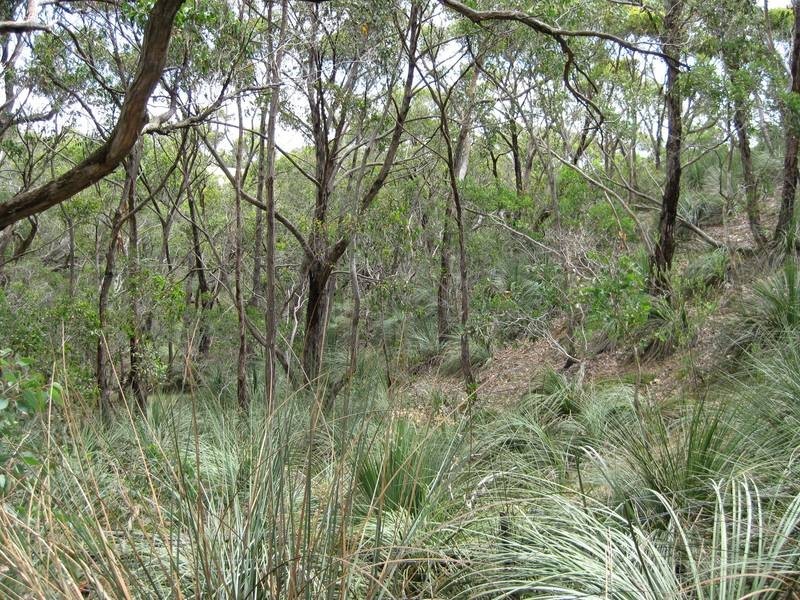 Lot 2,  Range Road, Willunga SA 5172