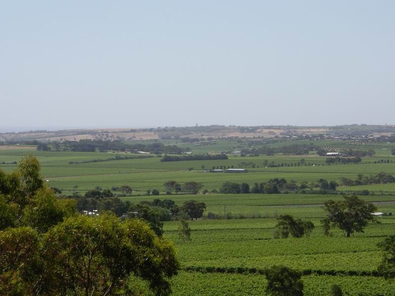 Lot 51 Edwards Road, Willunga SA 5172