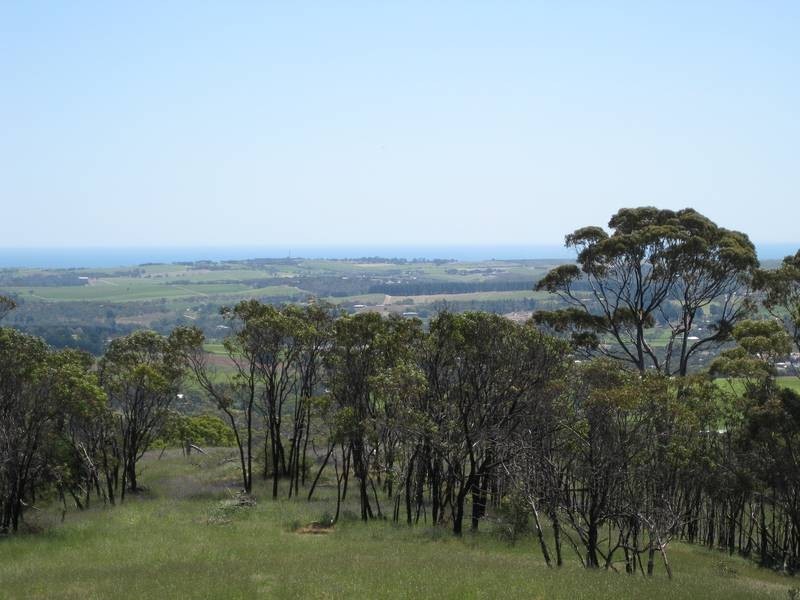 Lot 51 Thomas Hill, Mclaren Flat SA 5171