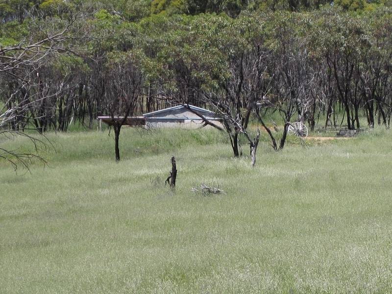 Lot 51 Thomas Hill, Mclaren Flat SA 5171