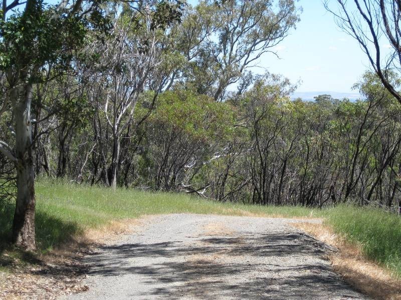 Lot 51 Thomas Hill, Mclaren Flat SA 5171
