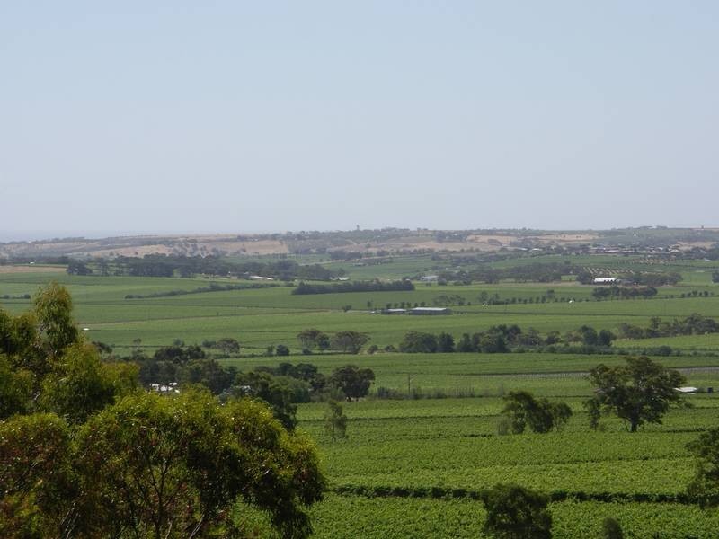Lot 51 Edwards Road, Mclaren Vale SA 5171