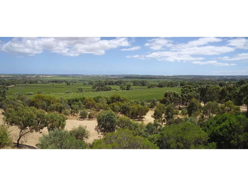 Lot 51 Edwards Road, Mclaren Vale SA 5171