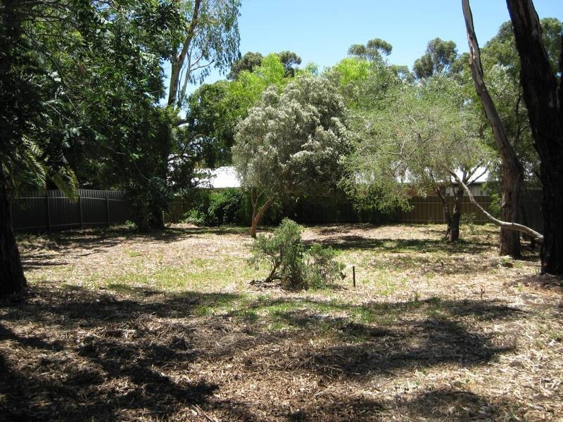 17A Liddiard Street, Mclaren Vale SA 5171