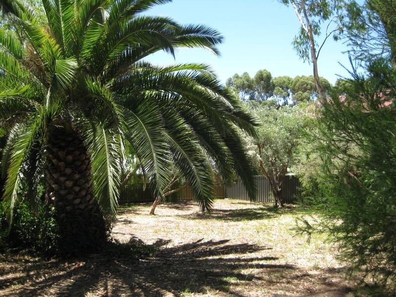 17A Liddiard Street, Mclaren Vale SA 5171