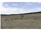 Lot 74 Hindmarsh Tiers Road, Myponga SA 5202