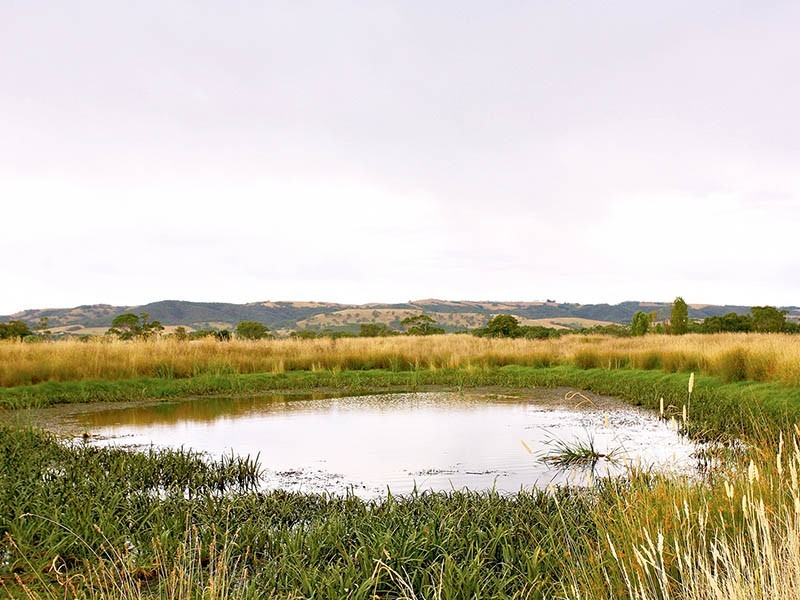 Pieces 5 & 6 Pages Flat Road, Willunga SA 5172