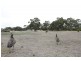 Lot 9, Lot Deep Creek Road, Currency Creek SA 5214