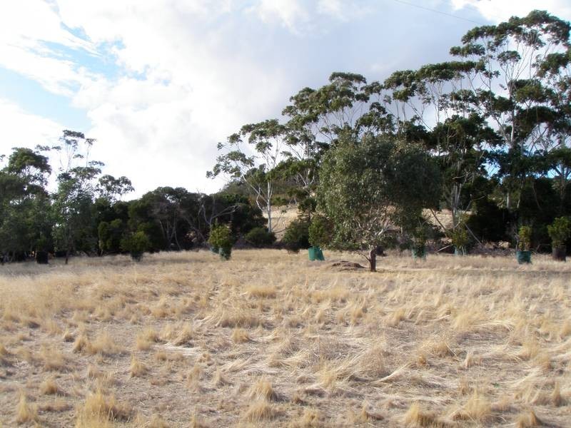 Lot 201 Kookaburra Court, Willunga SA 5172