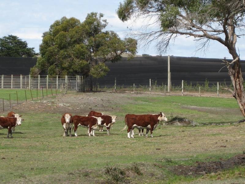 Section 186 Yundi Road, Yundi SA 5172