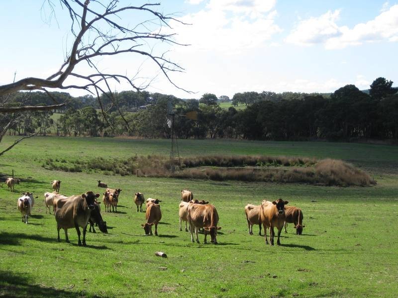 Lot 14 Decaux Road, Hope Forest SA 5172