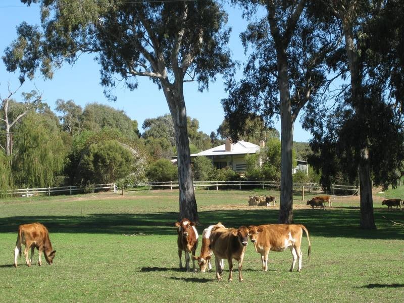 Lot 14 Decaux Road, Hope Forest SA 5172