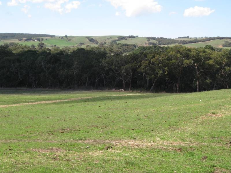 Lot 14 Decaux Road, Hope Forest SA 5172