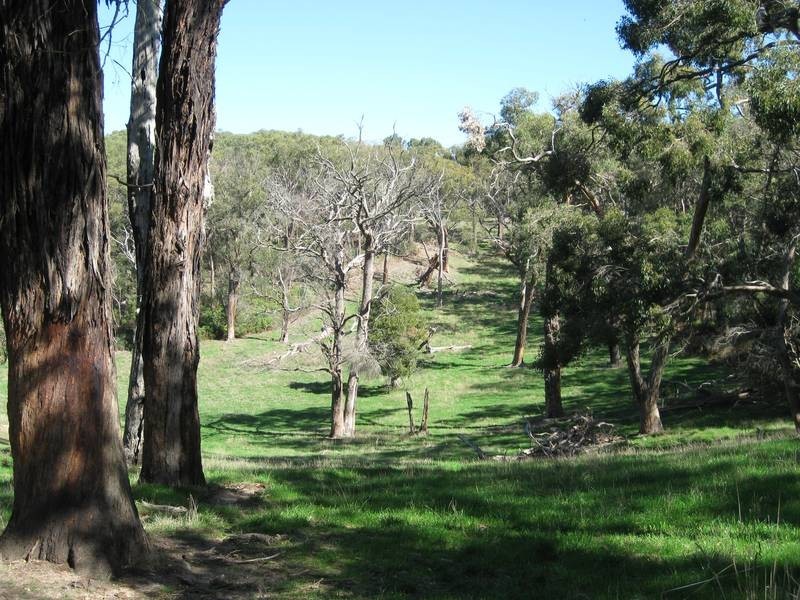 Lot 14 Decaux Road, Hope Forest SA 5172