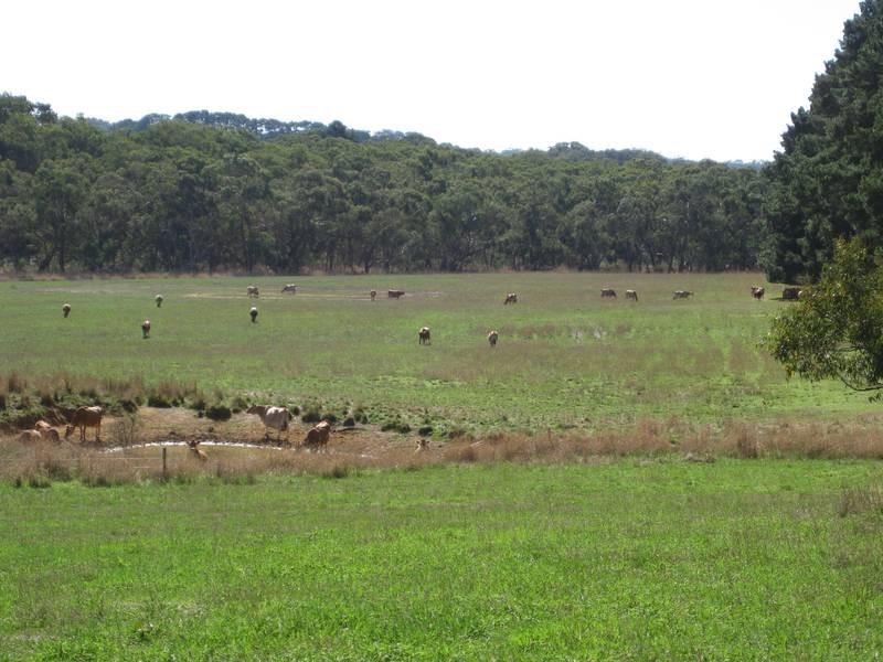 Lot 14 Decaux Road, Hope Forest SA 5172