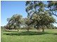 Lot 14 Decaux Road, Hope Forest SA 5172