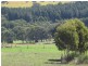 Lot 14 Decaux Road, Hope Forest SA 5172