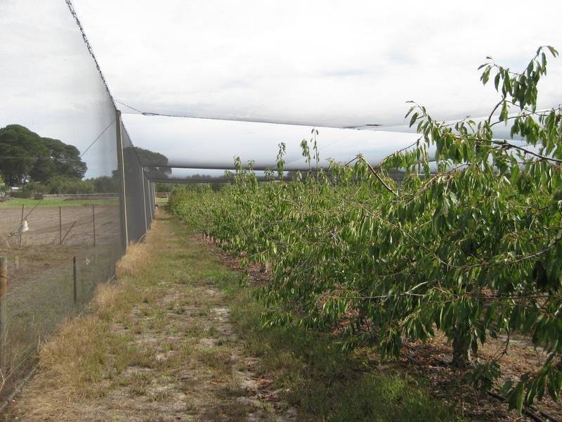 Sec 186 Yundi Road, Mount Compass SA 5210