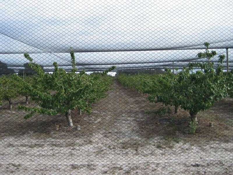 Sec 186 Yundi Road, Mount Compass SA 5210