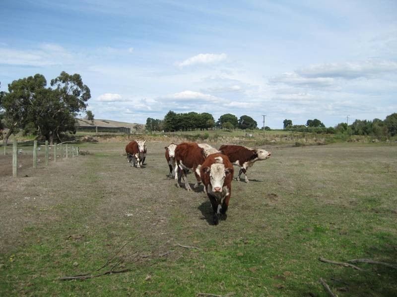 Sec 186 Yundi Road, Mount Compass SA 5210