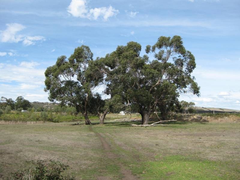 Sec 186 Yundi Road, Mount Compass SA 5210