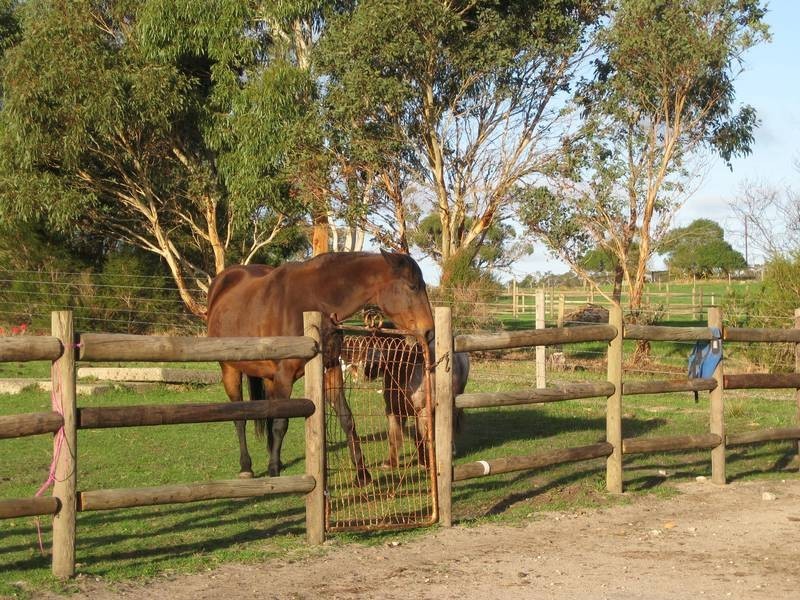 Lot 10 School Road, Willunga SA 5172