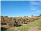 Lot 20 Twentyeight Road, Mclaren Vale SA 5171