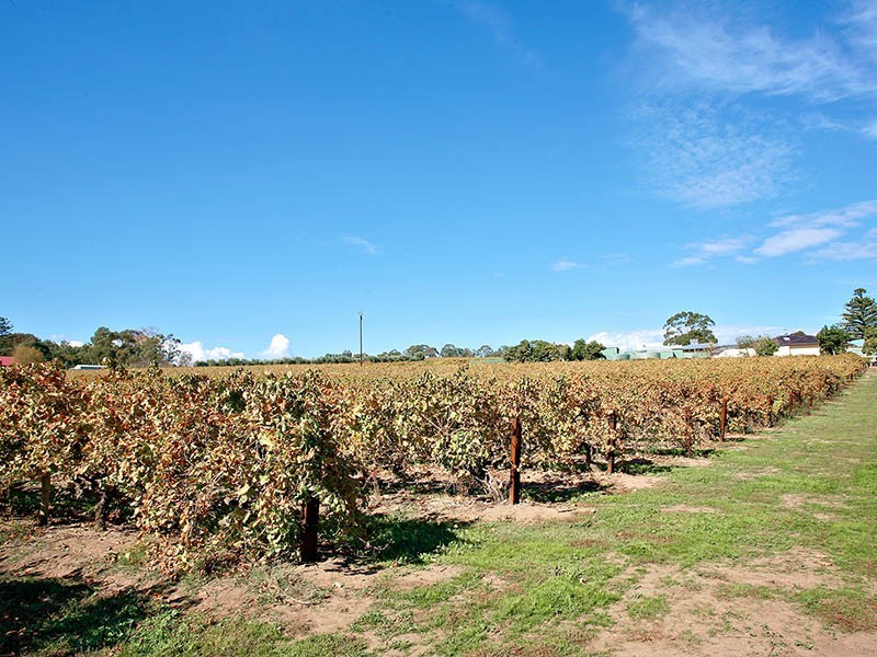 Lot 20 Twentyeight Road, Mclaren Vale SA 5171