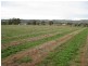 Lot 2 Almond Grove Road, Willunga SA 5172