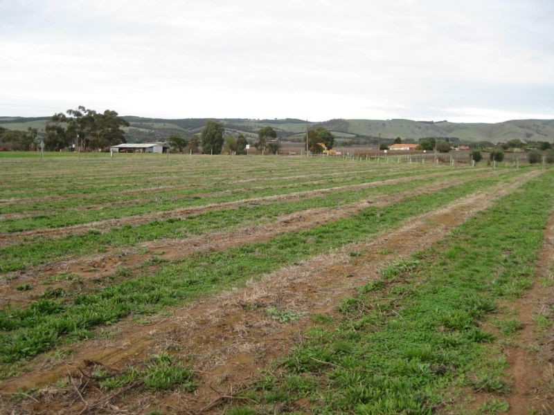 Lot 2 Almond Grove Road, Willunga SA 5172