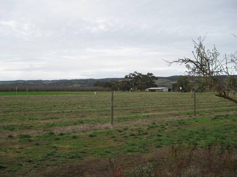 Lot 2 Almond Grove Road, Willunga SA 5172