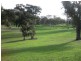 Lot 21 Mosquito Hill Road, Mount Compass SA 5210