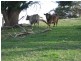 Lot 21 Mosquito Hill Road, Mount Compass SA 5210